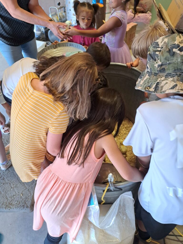 preschool or daycare for 3 year old